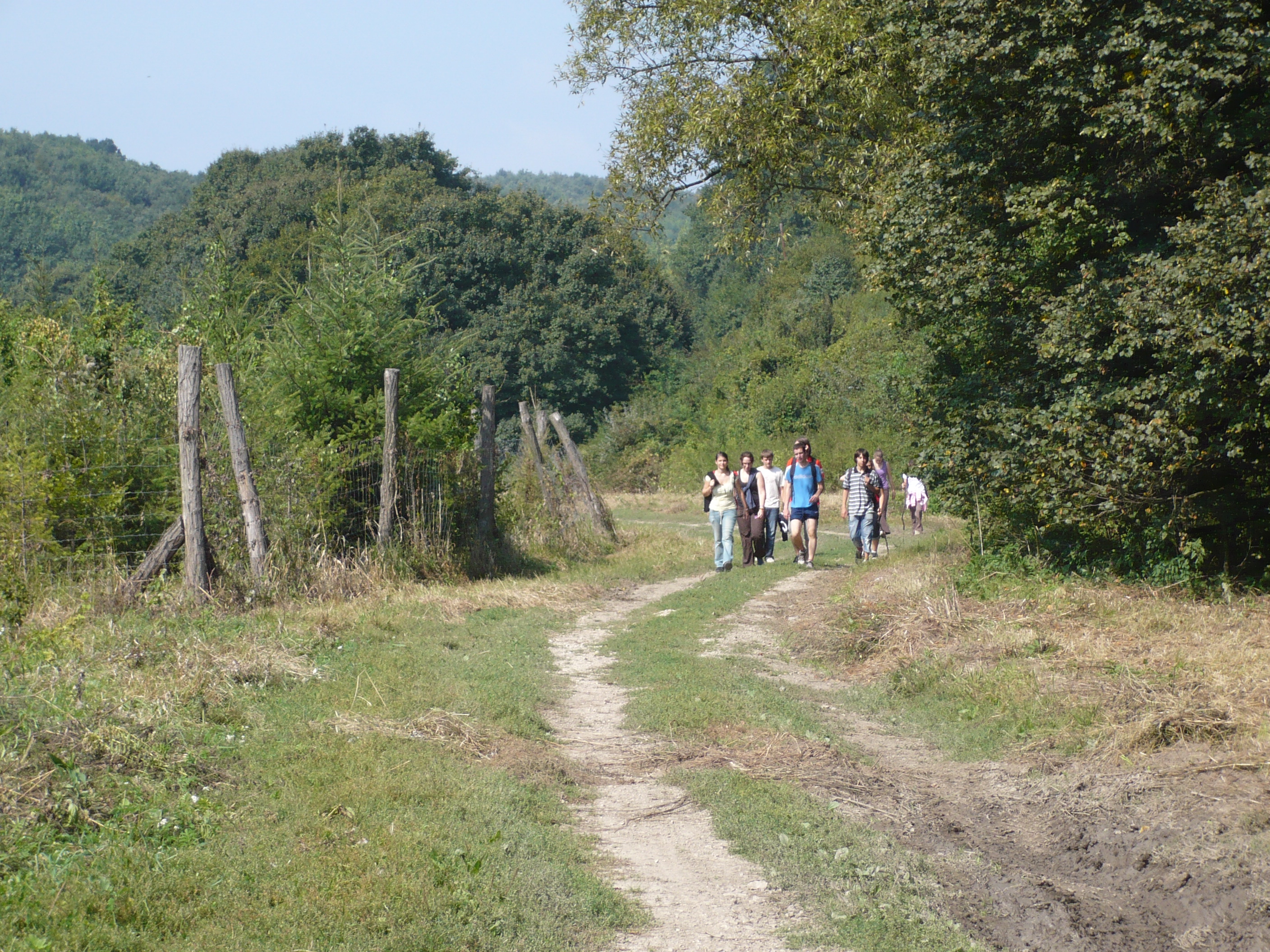 P1020924.JPG